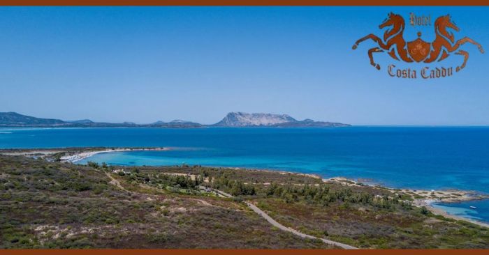 Bonino San Teodoro foto 4